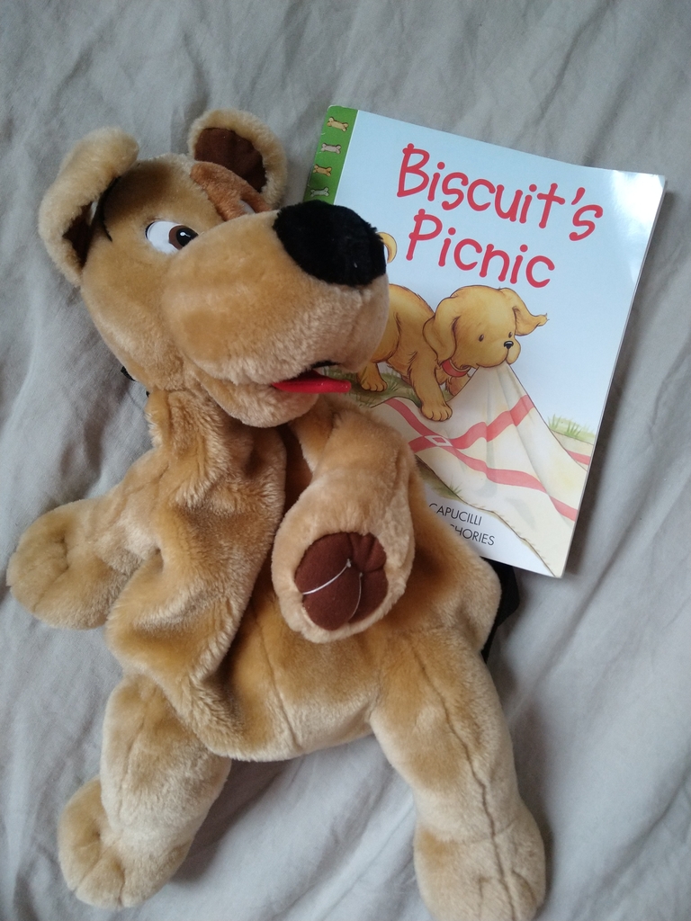 Biscuit's Picnic książka